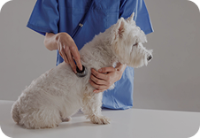 Модуль курса