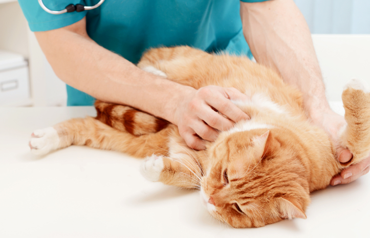 Модуль курса