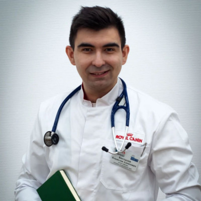 Автор лекции