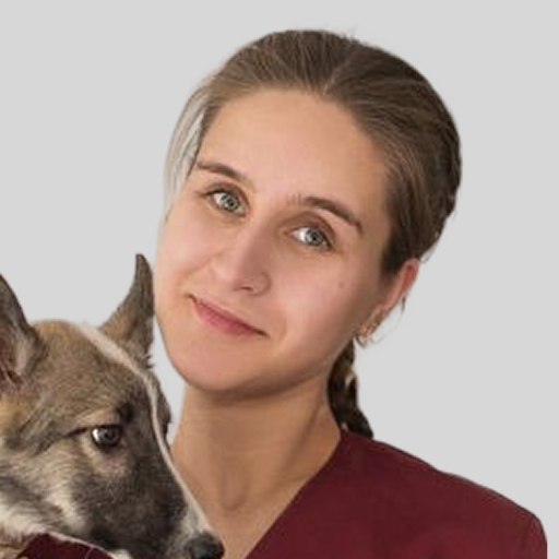 Автор лекции